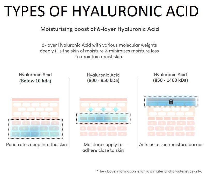 leeposh Hyaluronic Acid powder Lowest Molecular size Below10 Kda Hyaluronic Better penetration in skin layers 20gm Hyaluronic powder - Image 4