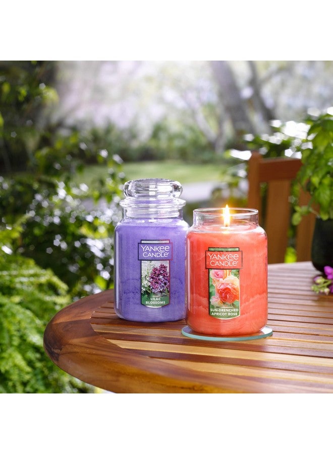 Yankee Candle Sun-Drenched Apricot Rose Scented, Classic 22oz Large Jar Single Wick Candle, Over 110 Hours of Burn Time - Image 3