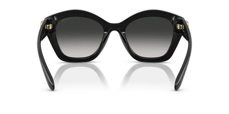 COACH 0Hc8421U Irregular Sunglasses