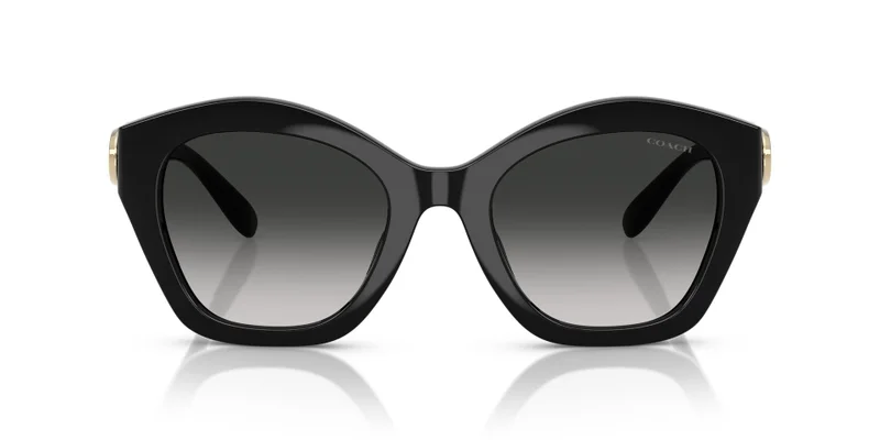 COACH 0Hc8421U Irregular Sunglasses