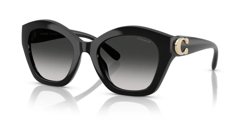 COACH 0Hc8421U Irregular Sunglasses