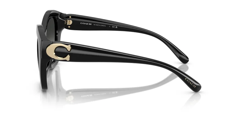 COACH 0Hc8421U Irregular Sunglasses