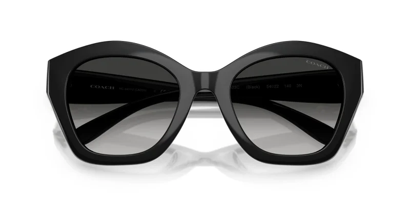 COACH 0Hc8421U Irregular Sunglasses