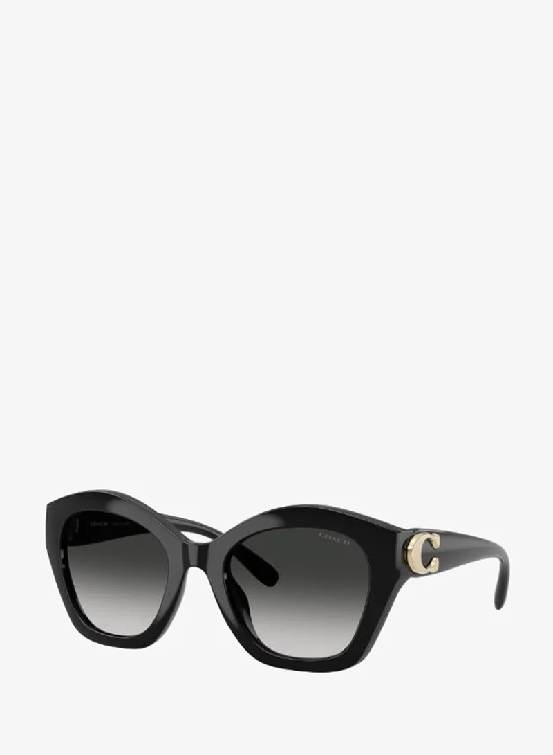 COACH 0Hc8421U Irregular Sunglasses