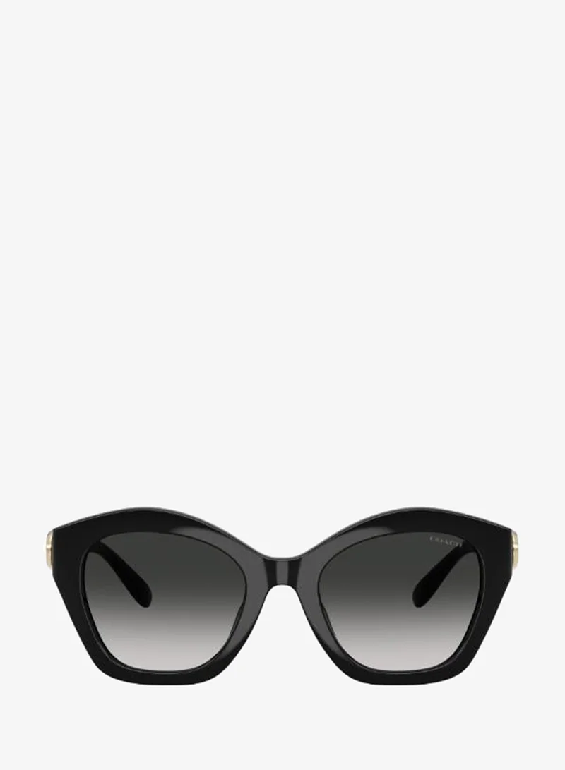COACH 0Hc8421U Irregular Sunglasses