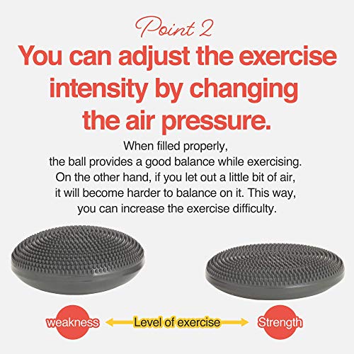 Primasole Balance Disc with Air Pump Wobble Cushion for Stability Workout 2 PCS Cobalt Blue Color PSS91NH052A - Image 3