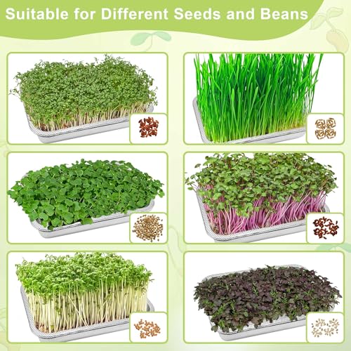 TCYPUHL Stainless Steel Sprouts Growing Kit 3-Tier 10.4 inch Trays, Microgreens Growing Kit, Seed Sprouting Tray with Encrypted Mesh Sprouts for Beans Alfalfa Broccoli Wheat Grass - Image 5