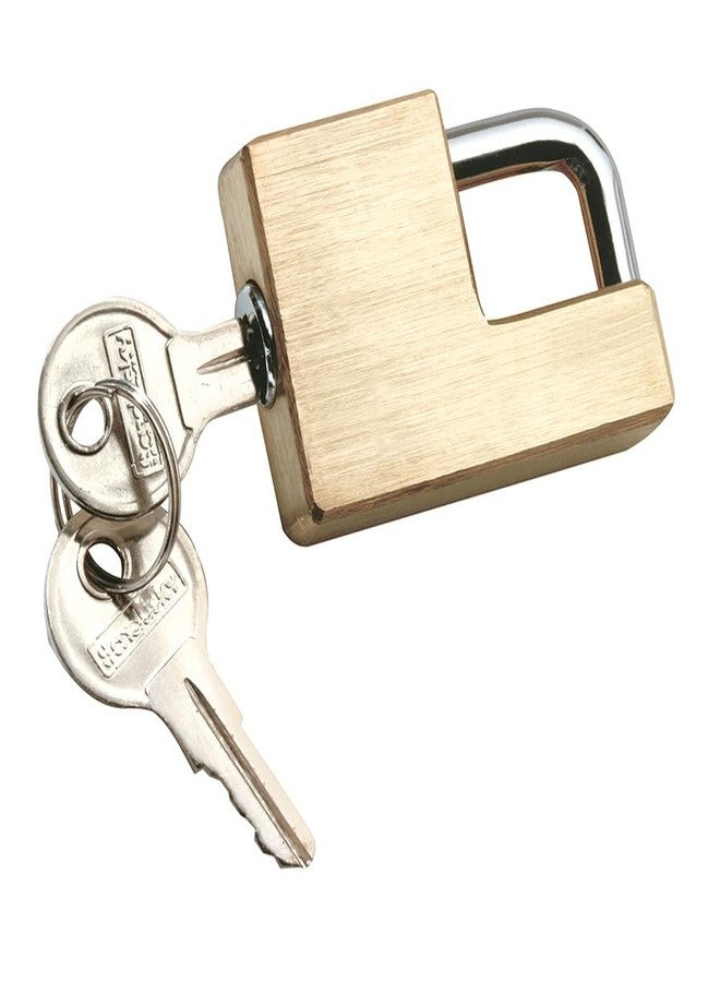 Reese Towpower 7005300 Brass Coupler Lock - Image 1