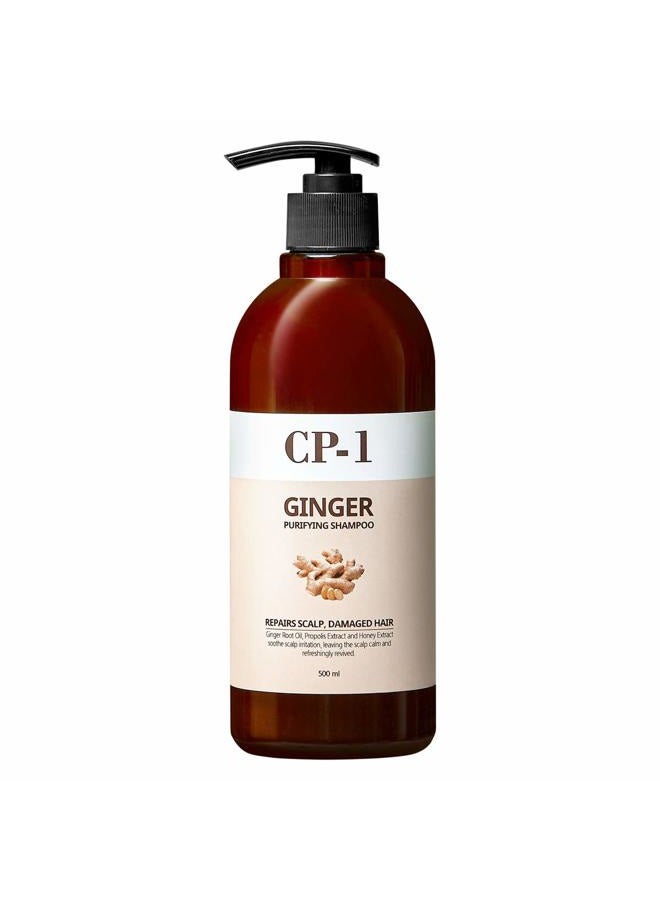 CP-1 GINGER PURIFYING SHAMPOO, Recovery Strengthening care, Scalp care, 16.9 fl oz - Image 1
