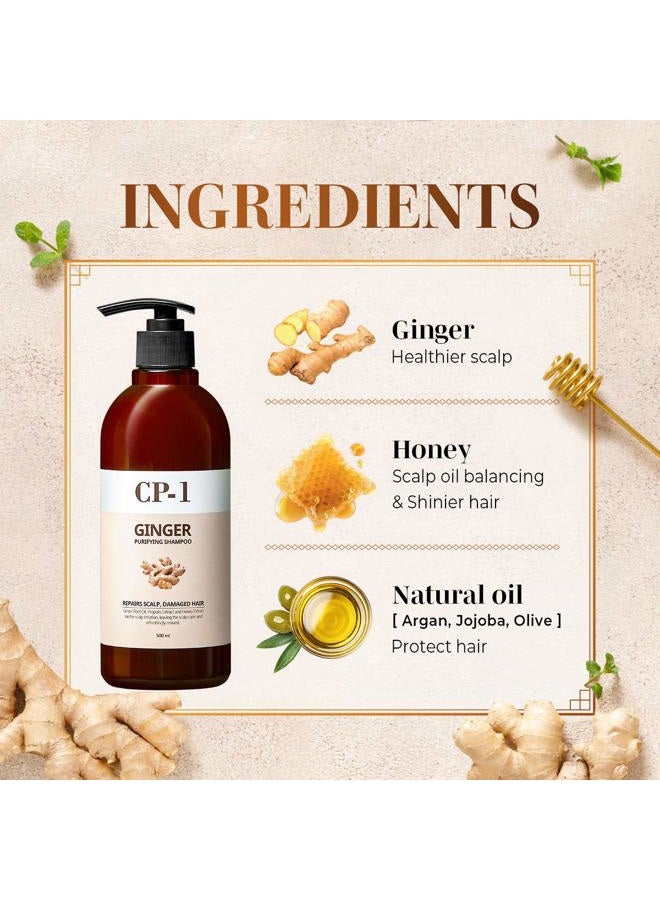 CP-1 GINGER PURIFYING SHAMPOO, Recovery Strengthening care, Scalp care, 16.9 fl oz - Image 3