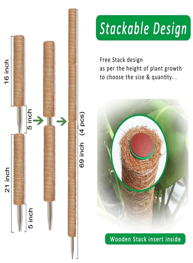 PLANTPOLEX Moss Pole - Image 2