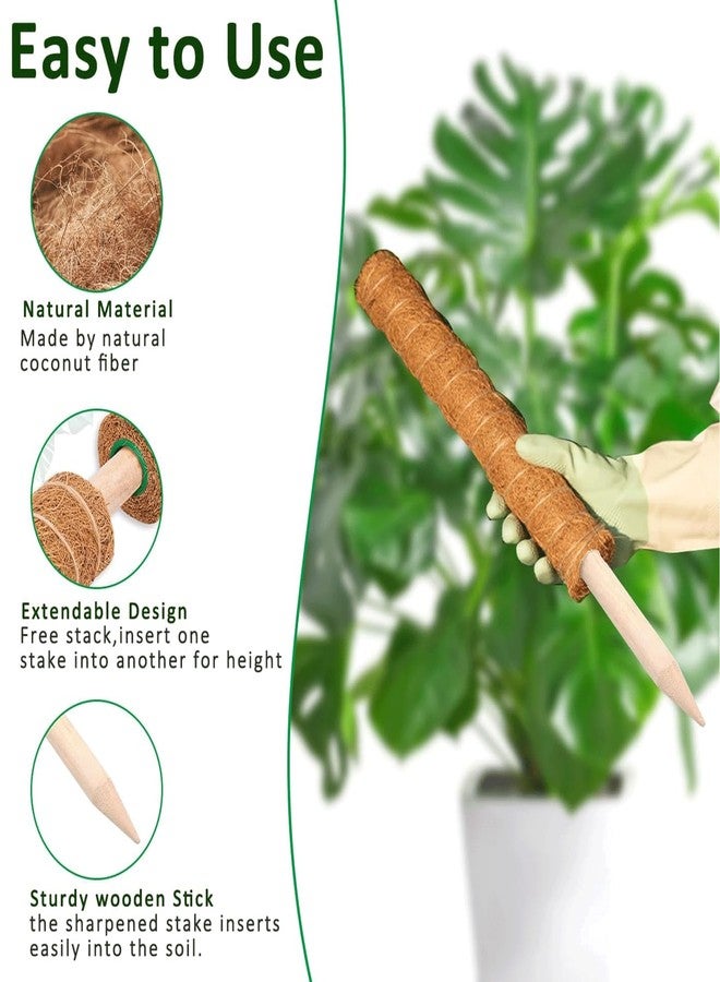 PLANTPOLEX Moss Pole - Image 3