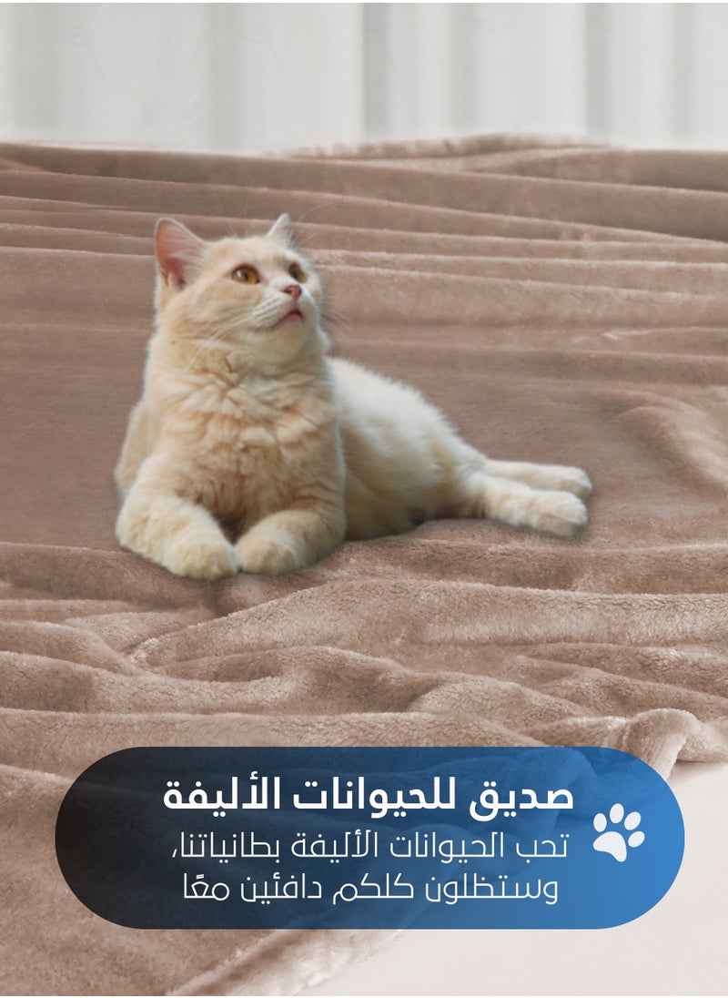 سيد المنسوجات المنزلية - بطانية مخمل خفيفه بمقاس مزدوج، سلسلة مورا، 350 جم/متر مربع، 260 × 240 سم، صوف إضافي فائق النعومة لجميع فصول السنة، يستخدم كغطاء للسرير بطانيات . - Image 1