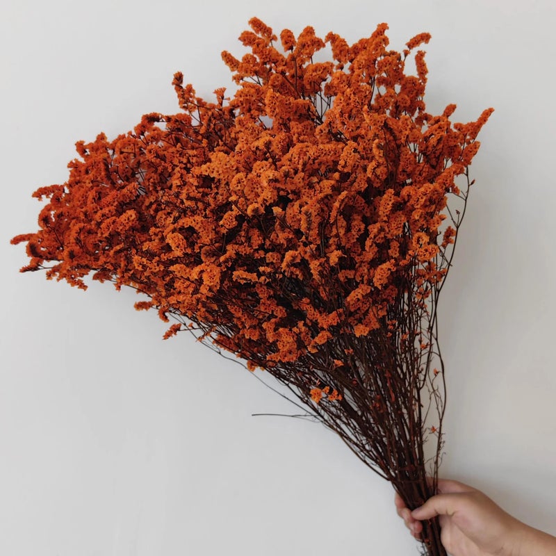 Bluejw Preserved Limonium Dried Flowers – Eternal Crystal Grass Decorative Dried Plants for Home Decor, Long-Lasting Natural Bouquet Arrangements - Image 5