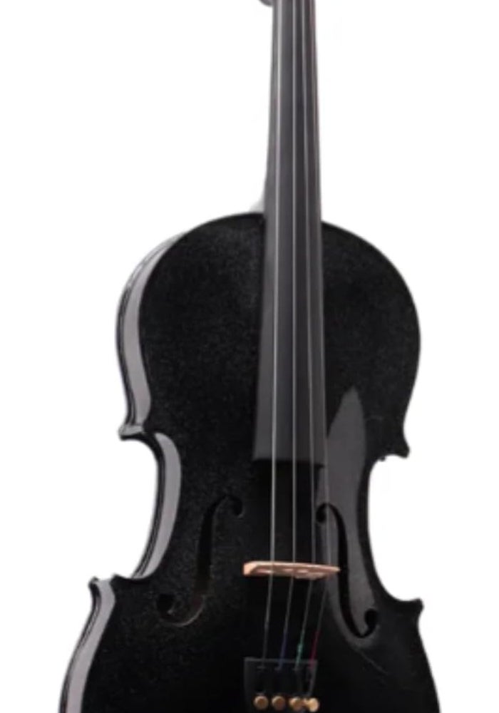 Megarya 4/4 Black Glossy Violin Made By Indian Solid Wood Perfect Choice for Violin Beginners Complete Set With Case, Bow and Rosin - Image 2