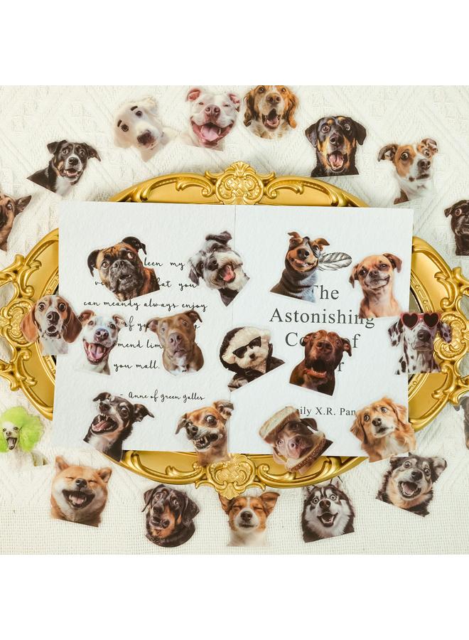 Bluejw Selling PET Adorable Animal Expression Package 50 Funny Net Red Dog Personality Graffiti Stickers Refrigerator Doors And Windows - Image 2