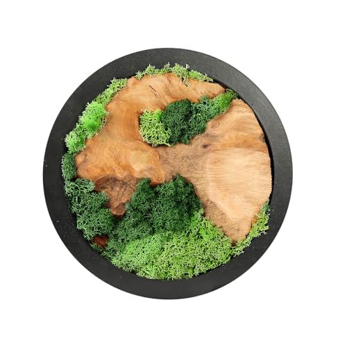 NAHARO Natural Preserved Moss Wall Art Natural mosswood Handcrafted Rustic Charm for Your Home Unique Wall Hanging for Living Room Bedroom Office or Kitchen No Maintenance - Image 1