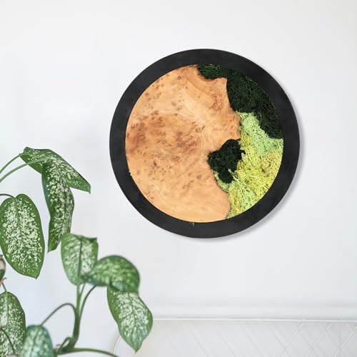 NAHARO Natural Preserved Moss Wall Art Natural mosswood Handcrafted Rustic Charm for Your Home Unique Wall Hanging for Living Room Bedroom Office or Kitchen No Maintenance - Image 3