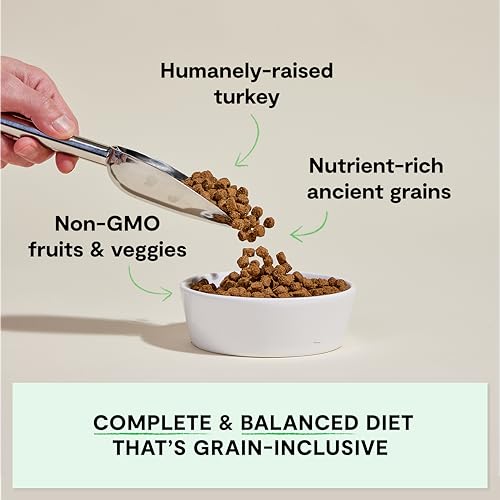 Open Farm, Ancient Grains Dry Dog Food, Protein-Rich & Nutrient Dense, 90% Animal Protein Mixed with Non-GMO Fruits, Veggies and Superfoods, Homestead Turkey Recipe, 4lb Bag - Image 2