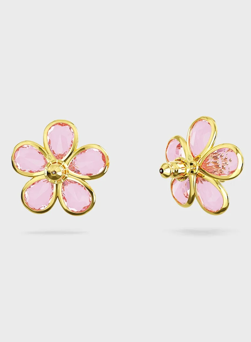 SWAROVSKI Florere Gold-Tone Plated Stud Earrings