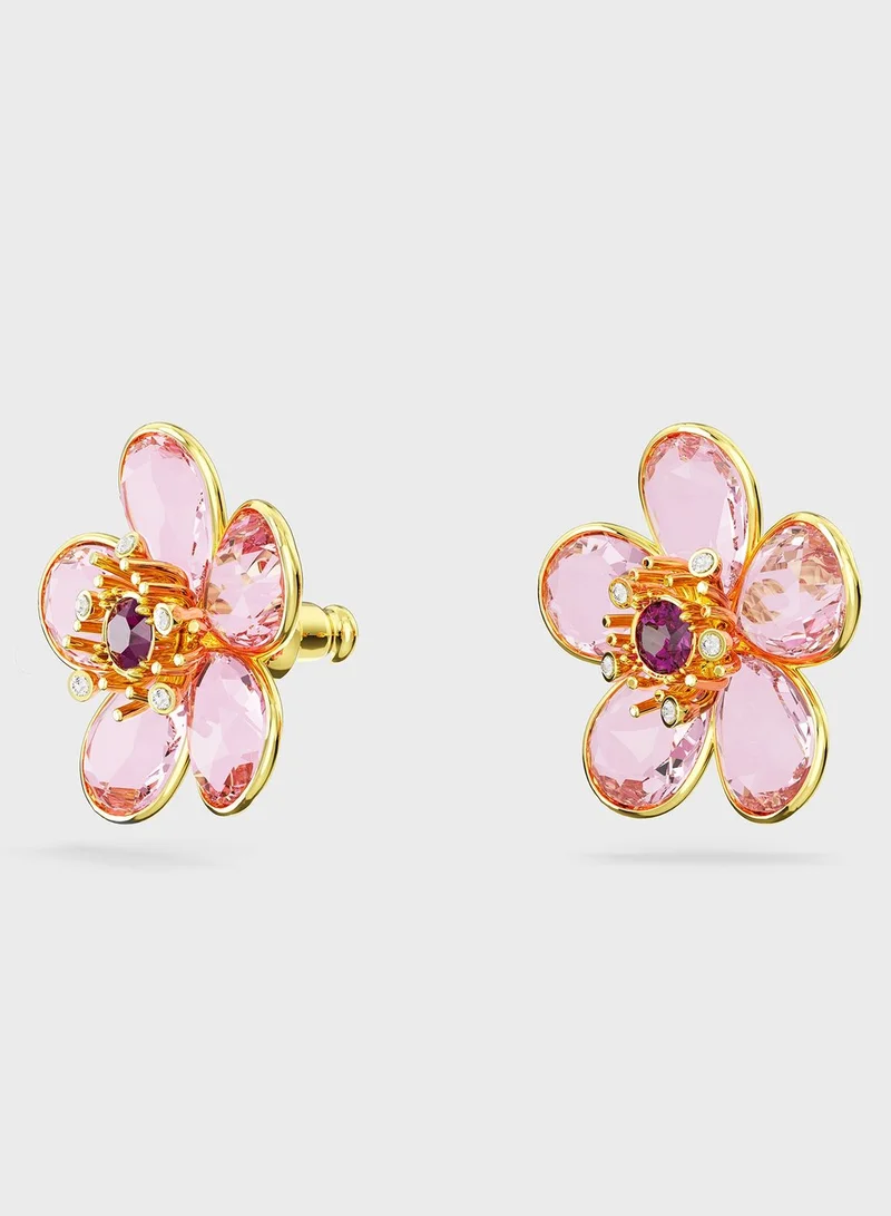 SWAROVSKI Florere Gold-Tone Plated Stud Earrings