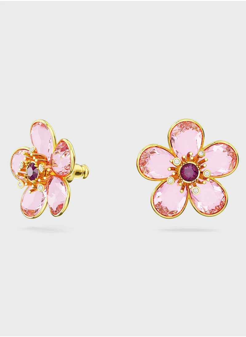 SWAROVSKI Florere Gold-Tone Plated Stud Earrings