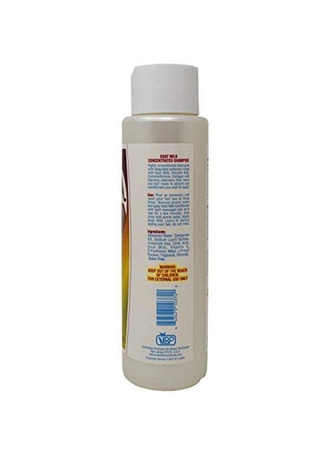 MBP Q & S Leche De Cabra Goat Milk Concentrated Shampoo by Chom