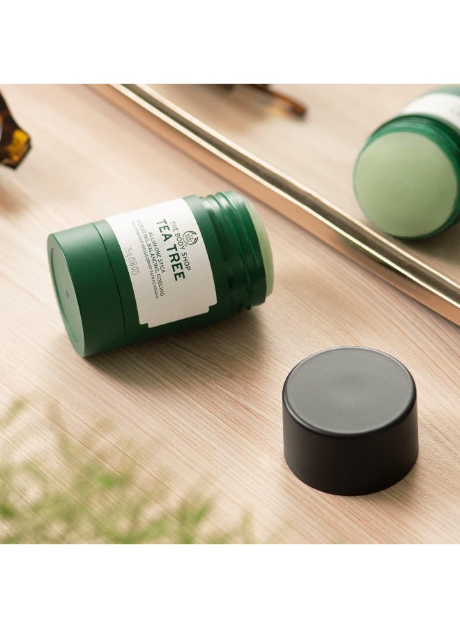 THE BODY SHOP The Body Shop Tea Tree All-In-One Stick – Hydrating, Balancing, Cooling – For Oily, Blemished Skin – 0.8 oz - Image 4