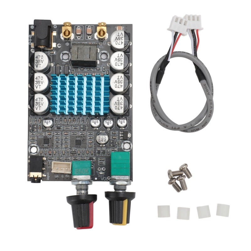 Subwoofer Amplifier Board 100W Bass Channel Output - TPA3116 Chip High Performance Digital Subwoofer Amp Module for DIY Speakers - Image 1