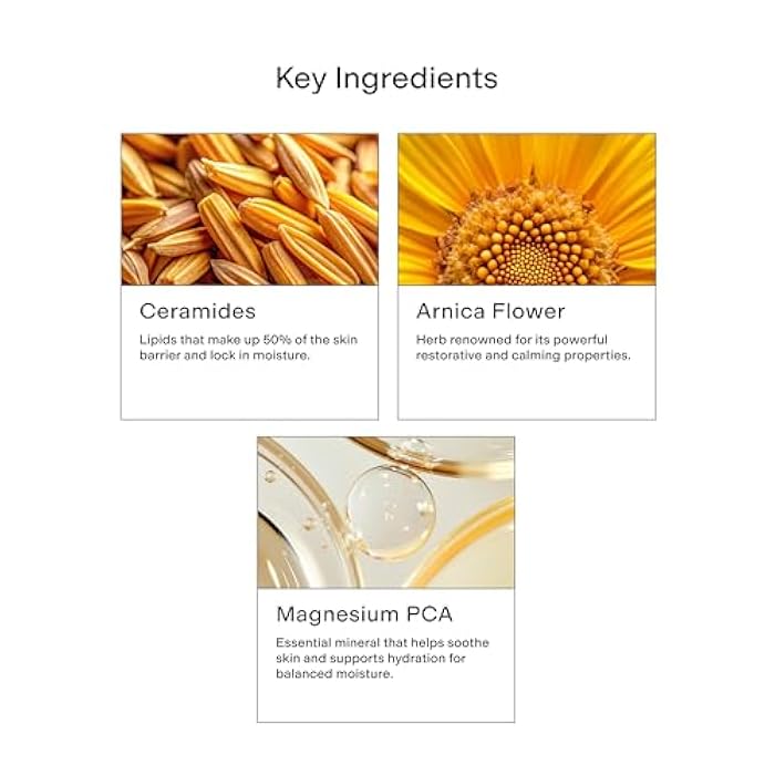 CLEARSTEM HYDRABERRY Hydrating Face Mask for Women - Night Mask for Sleeping for Women with Ceramides, Arnica & Magnesium PCA - Overnight Mask for Evening Hydration to Nourish & Protect Skin Barrier - Image 4