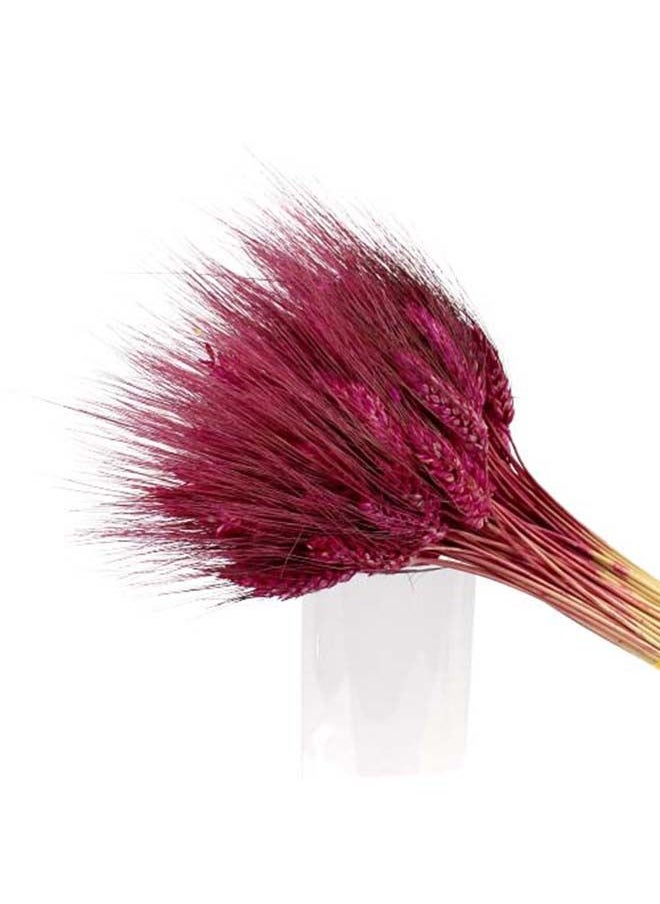 Generic Dried Wheat Flowers Sheaves Grass Bouquet (Merlot 100 Pieces)  - Image 2