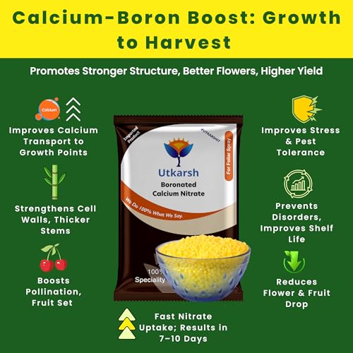 Utkarsh Boronated CAN - Boronated Calcium Nitrate for Plants, 100% Water Soluble Fertilizer, Boosts Healthy Flower and Fruit Growth & Yield in Plants (900 gm; Pack of 1) - Image 3