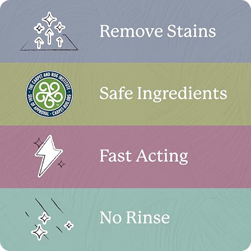 Shaw Floors Carpet Cleaner| Stain & Soil Remover for Carpet, Rugs, Upholstery and MORE | PACK OF 1 - Image 3