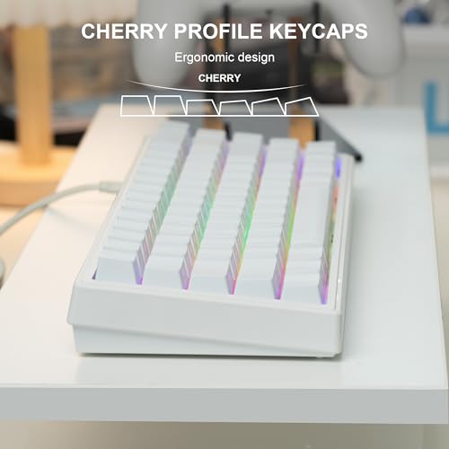 dagaladoo White keycap Set,Shine Through keycaps 60 75 Percent, Japanese Style PBT Key caps,Double Shot Custom keycaps,OEM Profile Keyboard caps for Mechanical Keyboards - Image 4
