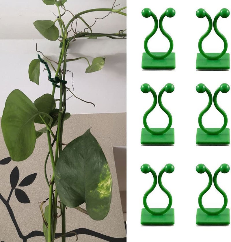TASMAX plant support for climbers PACK OF 30 PCS leaf plant organiser clip money plant clips for wall support creeper plant support climber support for plants plant holder for wall climbing wall clips - Image 4