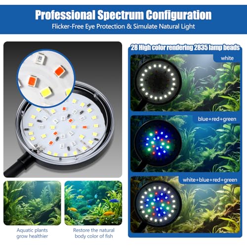 Novique Clip On Aquarium Light 8W LED Fish Tank Light with Full Spectrum & Dimmable Brightness Timing USB Moving Aquarium Lamp for 1-5 Gallon Betta Fish Tanks - Image 2