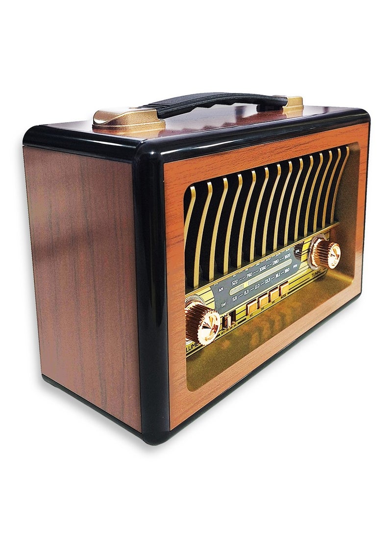 Generic - Bluetooth Wireless Audio Radio, Multifuncional Radio M1916BT 5V Audio Data Transmission with high quality sound TF Card, AUX Input, with Attractive Spectrum Light and Classic Design needs battery - Brown - Image 1
