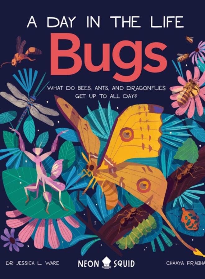 Bugs (A Day in the Life) : What Do Bees, Ants, and Dragonflies Get up to All Day? 