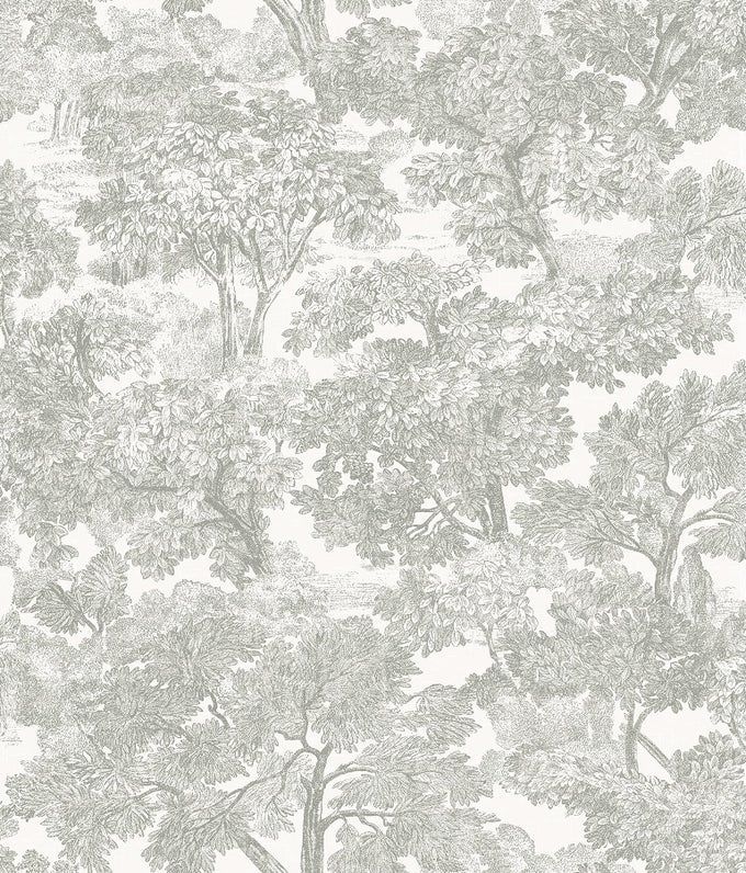 GREY SPINNEY TOILE WALLPAPER 311512541