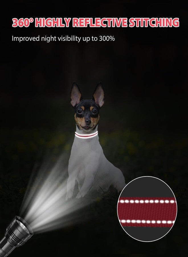 Joytale Small Dog Collar, Reflective and Adjustable Nylon Collar with Quick-Release Buckle, Lightweight No-Choke Design for Puppy and Extra Small Dogs, Red, XS - Image 5