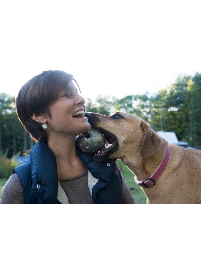 بيتستاجيز لعبة كرة المضغ والإحضار للكلاب من Orbee-Tuff Diamond Plate Ball - لعبة متينة ومتينة للكلاب للمطاردة والاسترجاع والتدريب - 3 بوصات، صغيرة (68787 (رمادي)) - Image 3