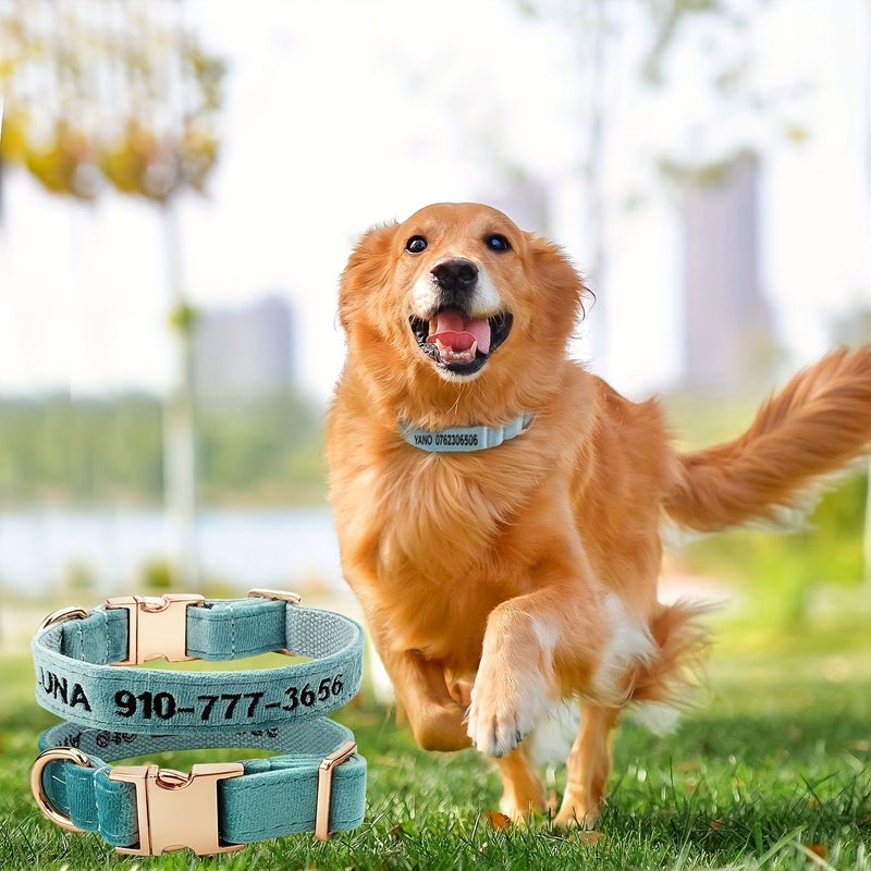 Personalized Dog Collar With Buckle Embroidered Name And Phone Number Red Size XS - Image 5