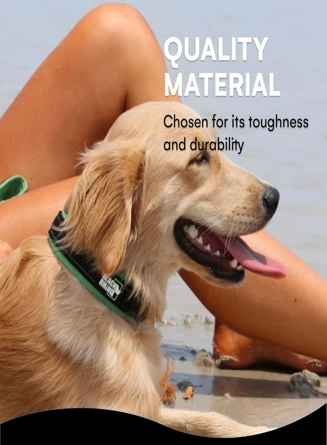 بلاك رينو طوق بلاك راينو للكلاب الكبيرة - طوق كلاب متين قابل للتعديل وعاكس للضوء مع حشوة نيوبرين فائقة النعومة - مقاوم للعوامل الجوية، متين، ومريح للكلاب النشطة - أخضر وأسود - Image 5