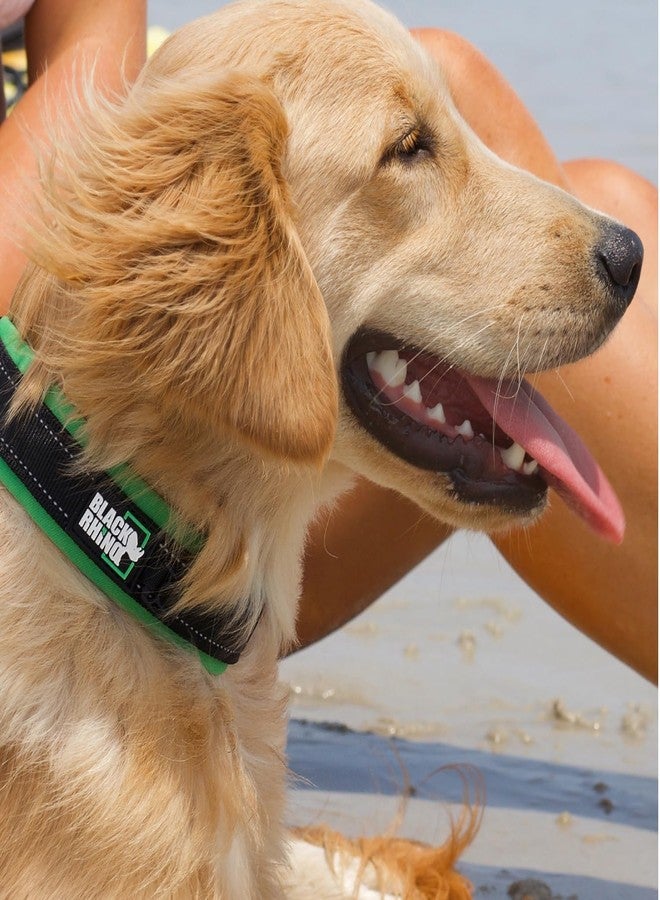 بلاك رينو طوق بلاك راينو للكلاب الكبيرة - طوق كلاب متين قابل للتعديل وعاكس للضوء مع حشوة نيوبرين فائقة النعومة - مقاوم للعوامل الجوية، متين، ومريح للكلاب النشطة - أخضر وأسود - Image 2