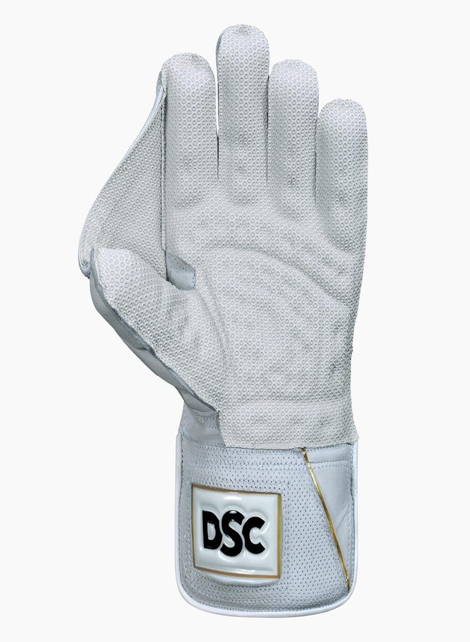DSC Player Cricket Wicket Keeping Gloves 2025 | Size: Mens | Color: Multicolor - Image 3
