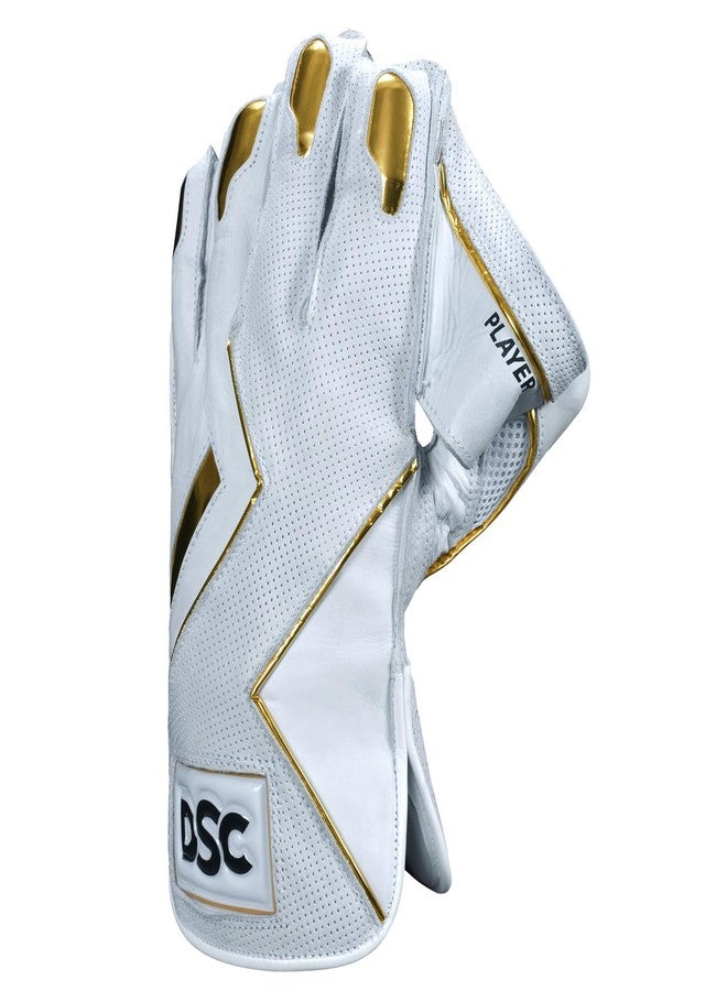 DSC Player Cricket Wicket Keeping Gloves 2025 | Size: Mens | Color: Multicolor - Image 5