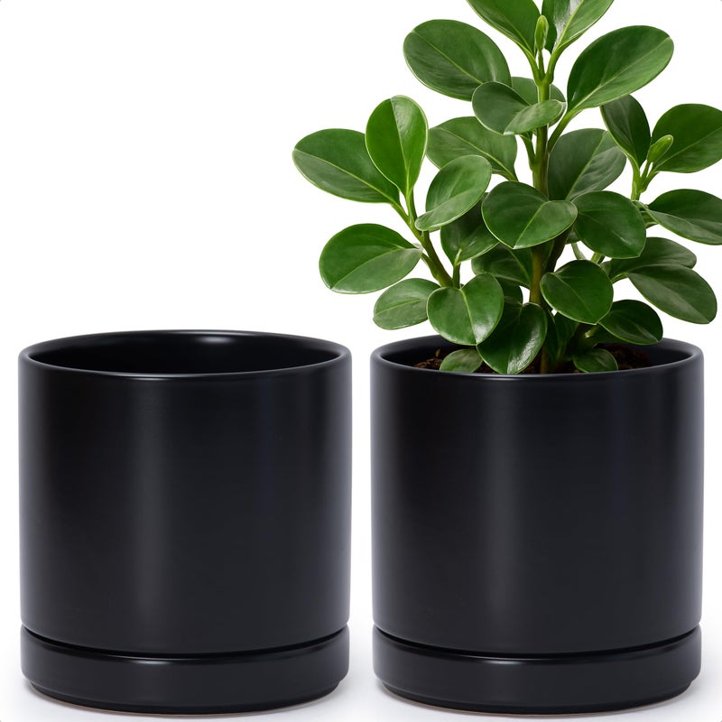 D'vine Dev Set of 2 Plants Pots, 6.5 Inch Ceramic Planter Pot for Plants with Drainage Hole and Saucer, Black, 94-V-C-2 - Image 1