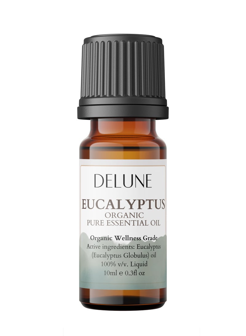 Eucalyptus Organic Wellness Grade Essential Oil