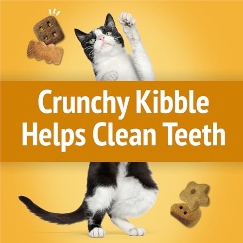 Friskies Purina Friskies Cat Treats, Party Mix Cheezy Craze Crunch - 20 oz. Canister - Image 4