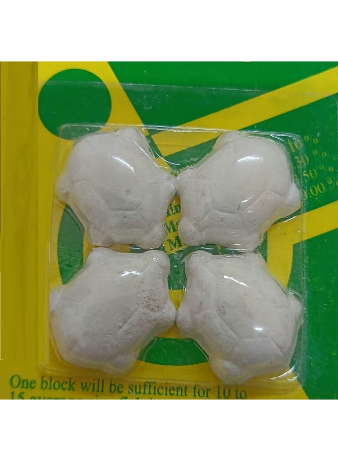 Weekend Fish Food - Image 3